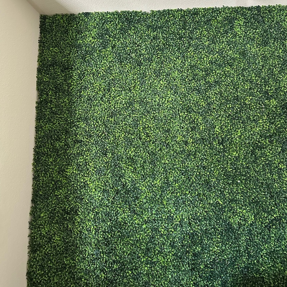 Grass wall - Picture 2 of 5